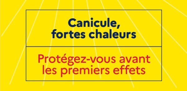 Bandeau infographie canicule