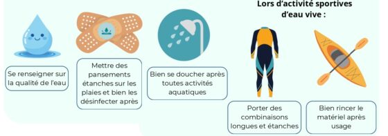 LEPTOSPIROSE : Précautions pour une baignade en toute sécurité !
