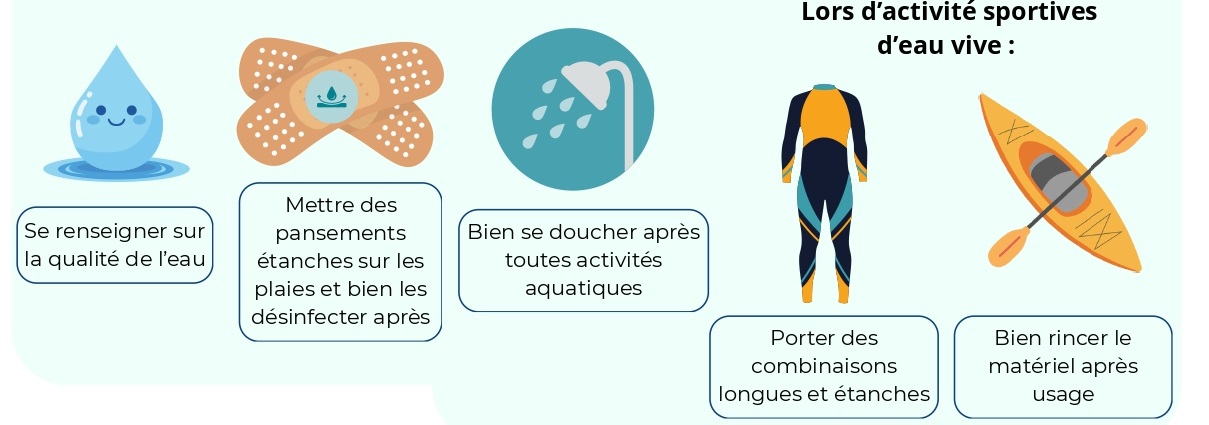 Précautions contre la leptospirose
