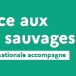 Bandeau Agir face aux dépôts sauvages