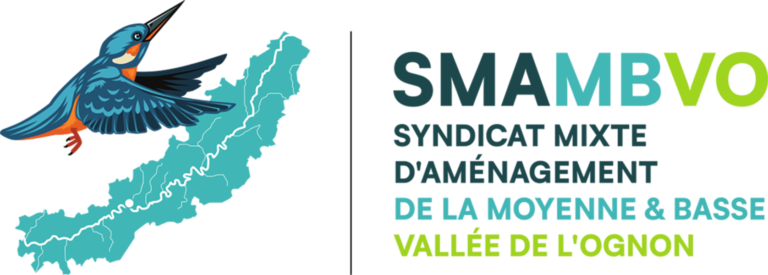 logo-SMAMBVO